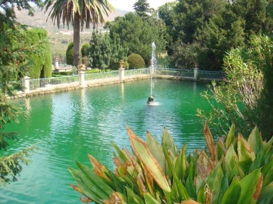 El jardí amagat: Jardí dels Sants de Penàguila