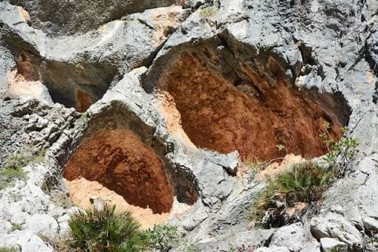 Del museu al Pla de Petracos: Un viatge de 8.000 anys