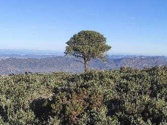 Circular per la Serra d’Almudaina