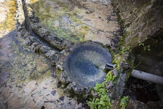 Els camins de l’aigua i de l’oli: Ruta de la Font Vella